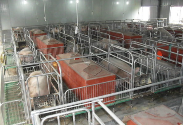 養(yǎng)豬場(chǎng)凈水設(shè)備